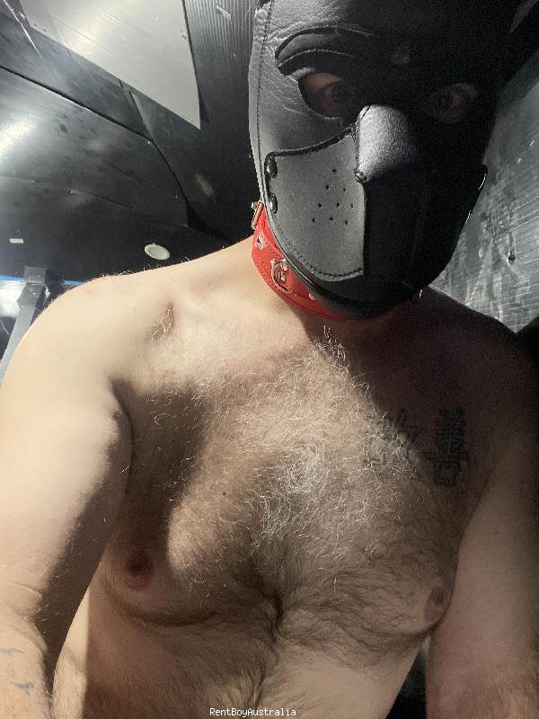 Timothy.James Gay Escort Melbourne 0449075400 RentBoyAustralia.com
